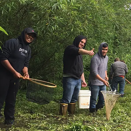 Biology students in the field collecting small animals from a wetland for analysis.